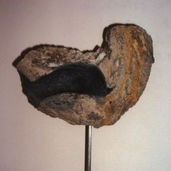 EGÒLATRA