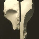 LA VOLPE A DUE FACCIE